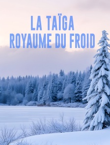 La taïga, royaume du froid
