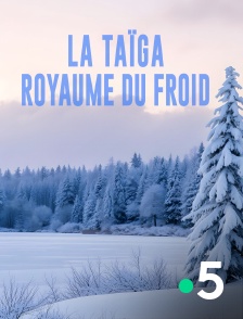 France 5 - La taïga, royaume du froid