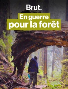 En guerre pour la forêt : sur le front à Fairy Creek