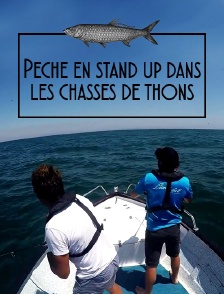 Pêche en stand up dans les chasses de thons