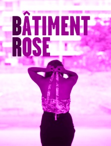 Bâtiment rose