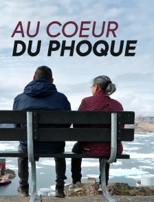 Au coeur du phoque