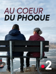 France 2 - Au coeur du phoque