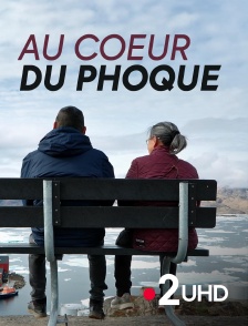 France 2 UHD - Au coeur du phoque