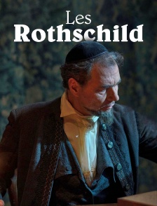 Les Rothschild : Ascension et tribulations d'une famille