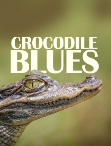 Crocodile Blues