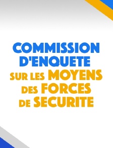 Commission d'enquête sur les moyens des forces de sécurité