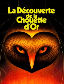 La découverte de la Chouette d'or