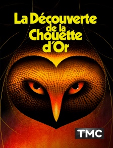TMC - La découverte de la Chouette d'or