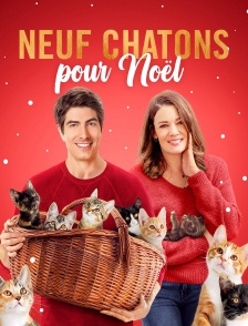 Neuf chatons pour Noël