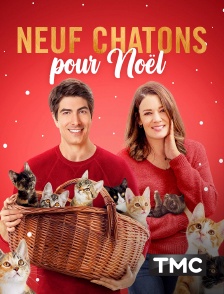 Neuf chatons pour Noël