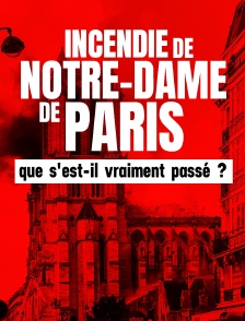Incendie de Notre-Dame de Paris : que s'est-il vraiment passé ?