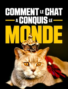Comment le chat a conquis le monde