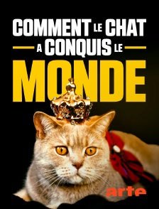 Arte - Comment le chat a conquis le monde