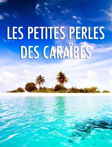 Les petites perles des Caraïbes