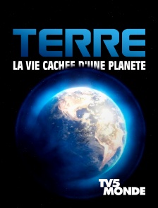 TV5MONDE - Terre, la vie cachée d'une planète