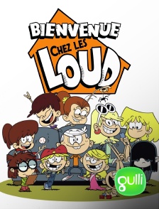 Spidey et ses amis extraordinaires en streaming & replay sur Gulli