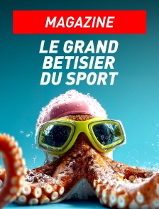 Le grand bêtisier du sport