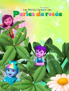 Les Petits Carnets des Perles de rosée