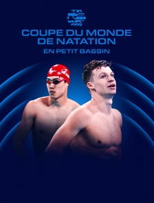 Natation - Coupe du monde FINA