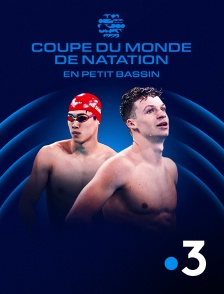 France 3 - Natation - Coupe du monde FINA