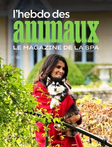 L'hebdo des animaux