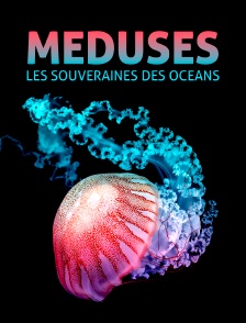 Méduses : Les souveraines des océans