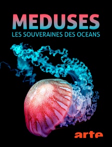 Arte - Méduses : Les souveraines des océans