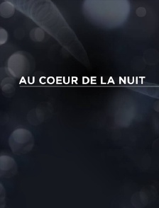 Au coeur de la nuit