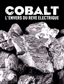 Cobalt : L'envers du rêve électrique