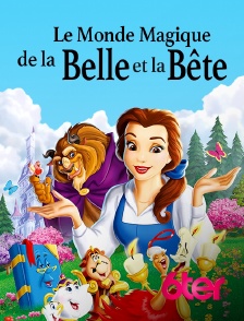 Le monde magique de la Belle et la Bête