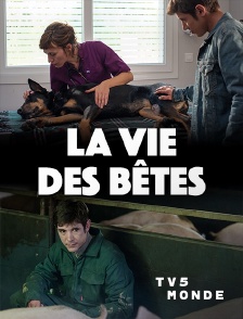 TV5MONDE - La vie des bêtes