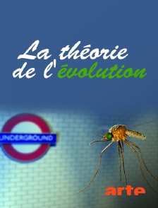 Arte - La théorie de l'évolution