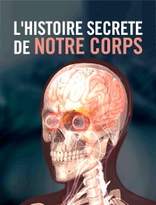 L'histoire secrète de notre corps