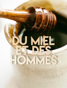 Du miel et des hommes