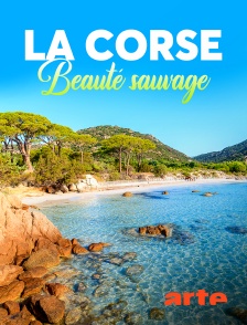 La Corse, beauté sauvage