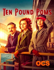 Ten pound poms