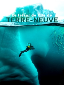Le trésor de l'île de Terre-Neuve