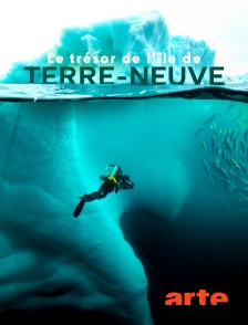 Arte - Le trésor de l'île de Terre-Neuve