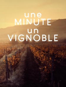 Une minute, un vignoble