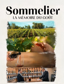 Les sommeliers, la mémoire du goût