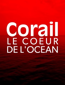 Corail, le coeur de l'océan