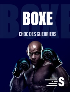 Sport en France - Boxe - Choc des Guerriers