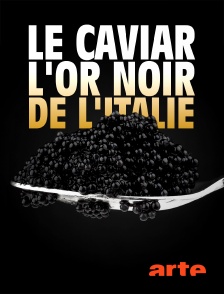Arte - Le caviar, l'or noir de l'Italie