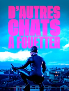 D'autres chats à fouetter