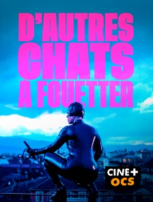 CINÉ Cinéma - D'autres chats à fouetter