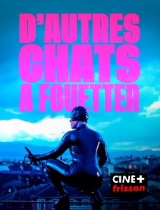 CINE+ Frisson - D'autres chats à fouetter