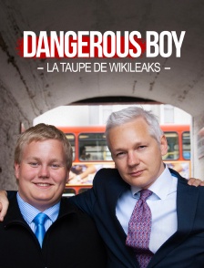 A Dangerous Boy