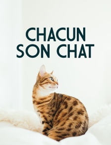 Chacun son chat