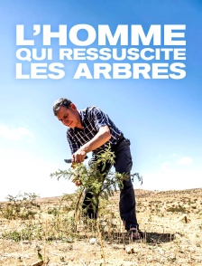 L'homme qui ressuscite les arbres